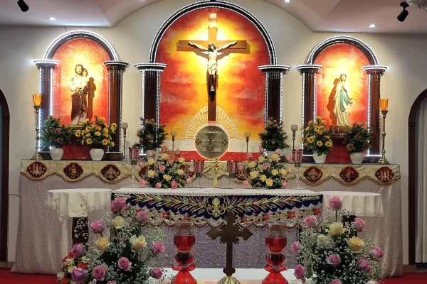 St. Pius X Parish – Palam