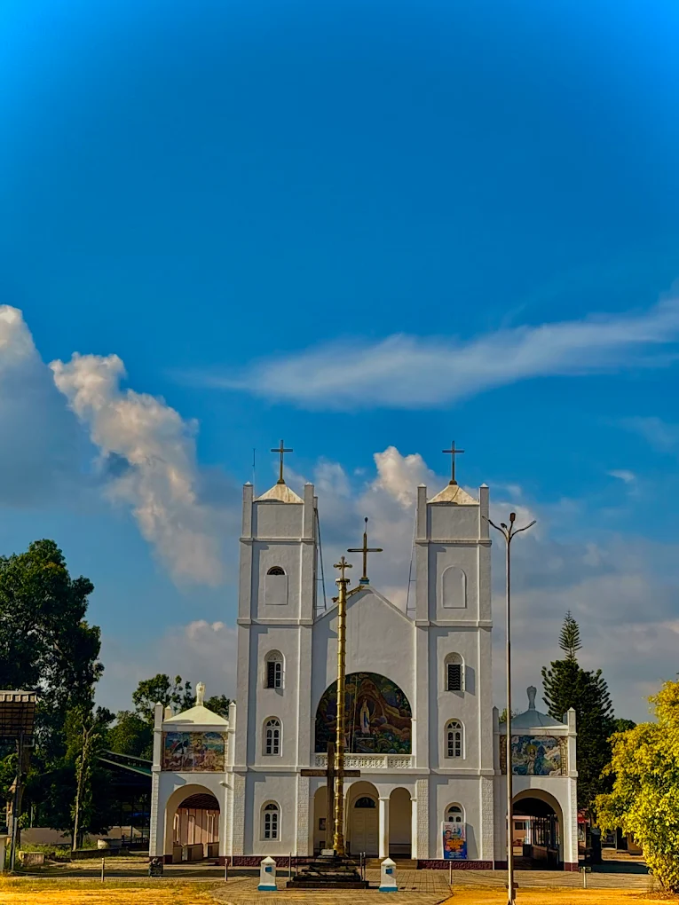 Lourdu Matha Church – Pallikunnu