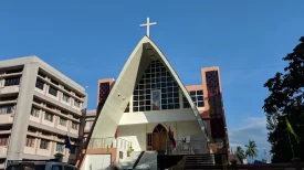 St Francis De Sales church – Narengi