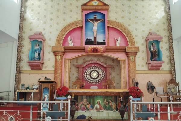 Our Lady of Good Health church – S. Pudur