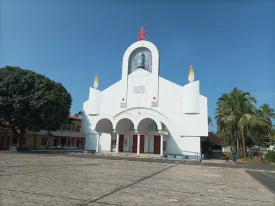 Our Lady of Carmel Church – Edathuruthy – Forane