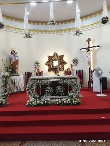 St.Thomas More Church – Palluruthy