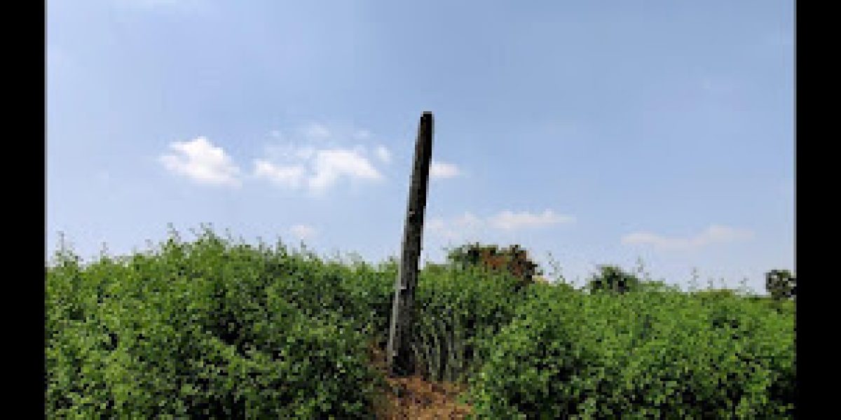 Our Lady of Lourdes Church – Kanakankuppam