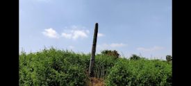 Our Lady of Lourdes Church – Kanakankuppam