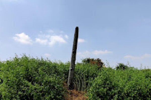 Our Lady of Lourdes Church – Kanakankuppam