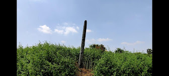 Our Lady of Lourdes Church – Kanakankuppam
